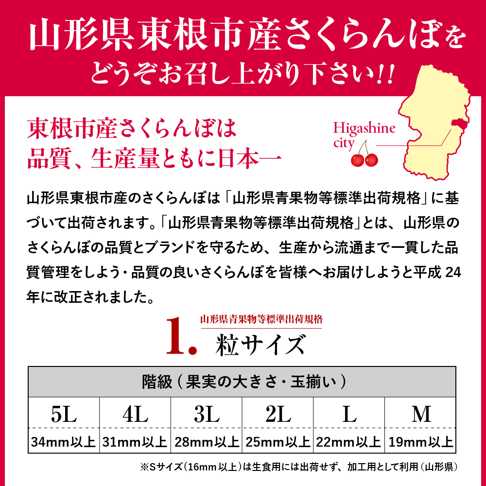 2025年 山形県東根市産さくらんぼ「佐藤錦」500gバラ詰め 東根農産センター提供 山形県 東根市 hi027-171-2