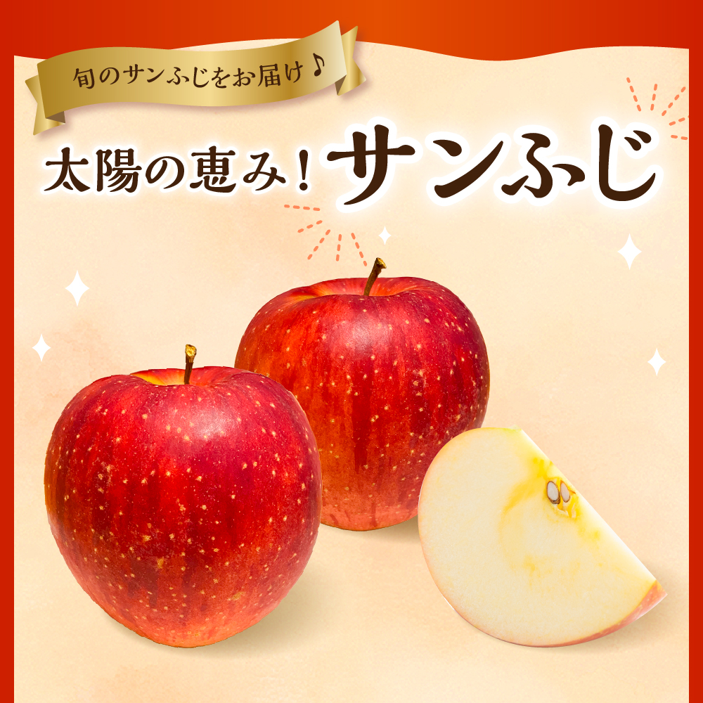 【2025年産 先行予約】りんご「サンふじ」3kg JA提供 山形県 東根市　hi003-137-2