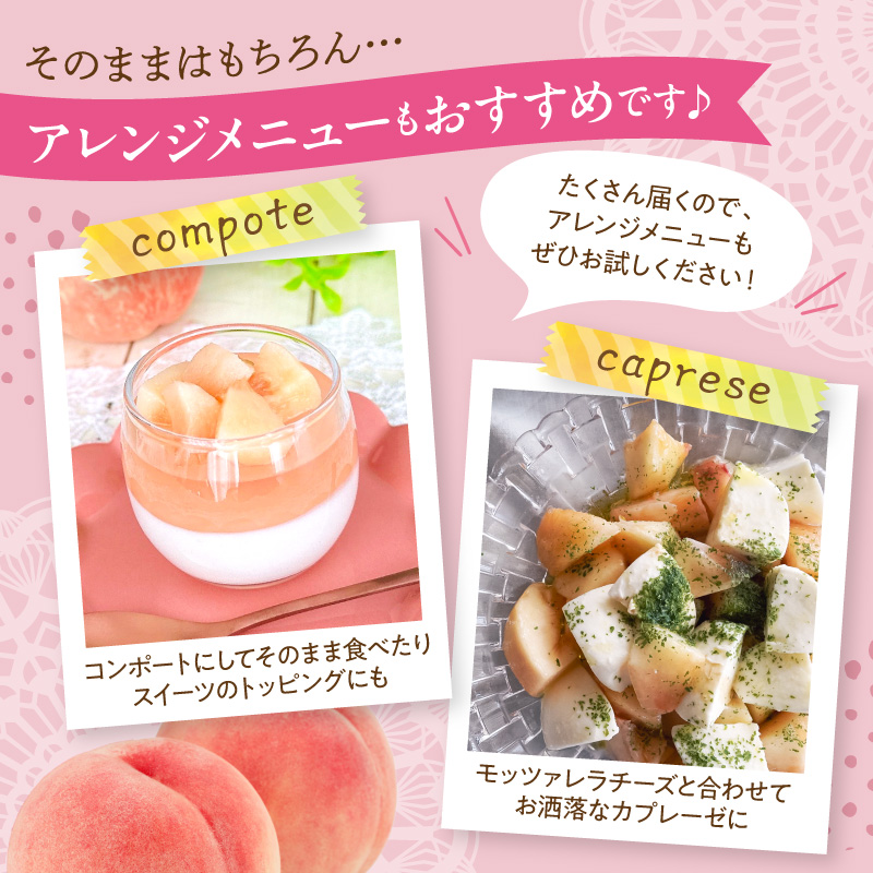 縲2026蟷エ逕」縲 謗。繧後◆縺ヲ逋ス譯(蜩∫ィョ縺贋ササ縺) 邏5kg (12ス18邇) 螻ア蠖「逵 譚ア譬ケ蟶ゅhi026-056