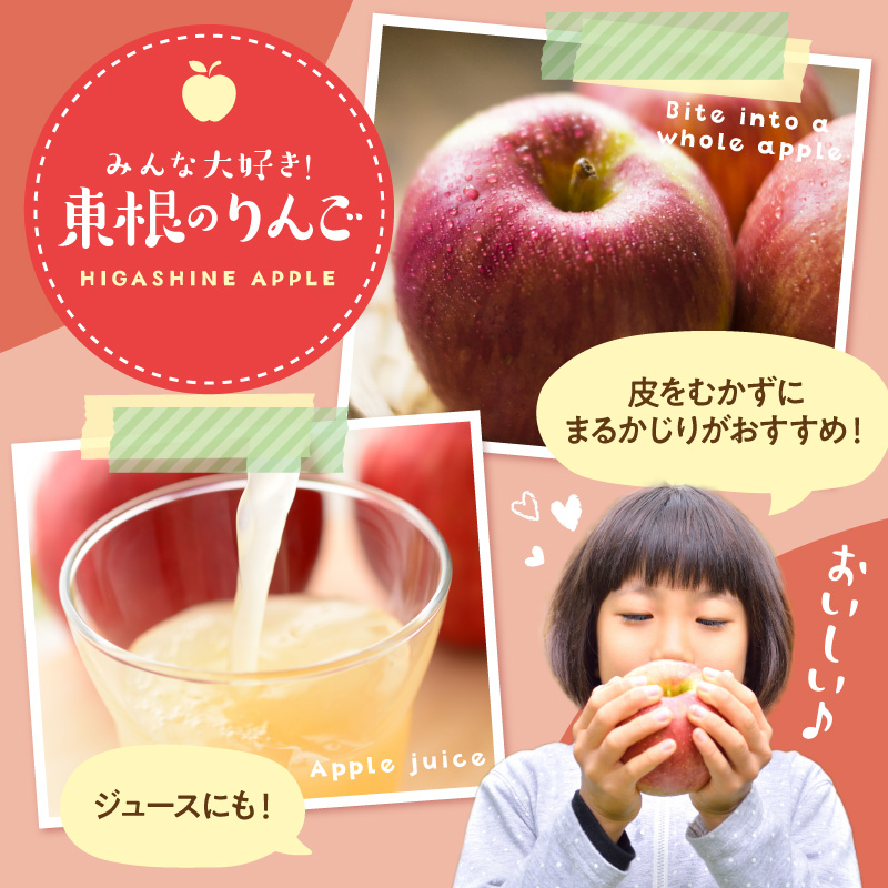 【2026年産】りんご サンふじ 10kg 秀品 化粧箱入り 山形県 東根市 東根農産センター提供 hi027-207-r8