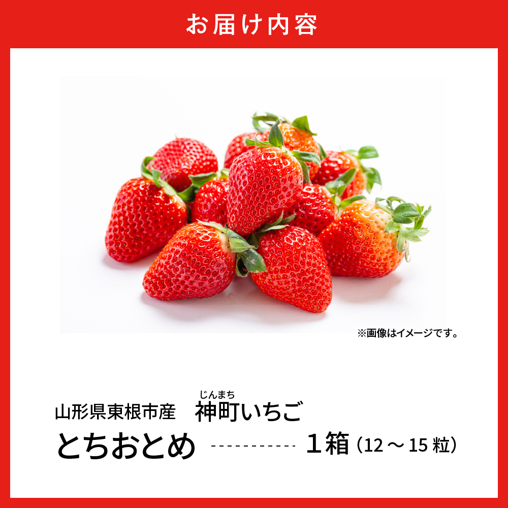 【令和7年産　先行予約】神町いちご（とちおとめ）12粒〜15粒 山形県 東根市　hi069-007-2