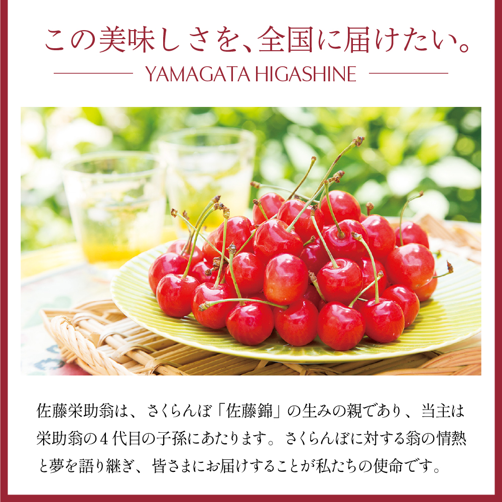 さくらんぼ佐藤錦 100％ ジュース (500ml×3本) 佐藤錦提供 山形県 東根市 hi004-hi029-026