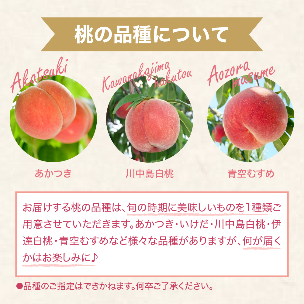 【2026年産 先行予約】 白桃 (品種おまかせ) 3kg 秀品 化粧箱入り 東根農産センター提供 山形県 東根市 hi027-258
