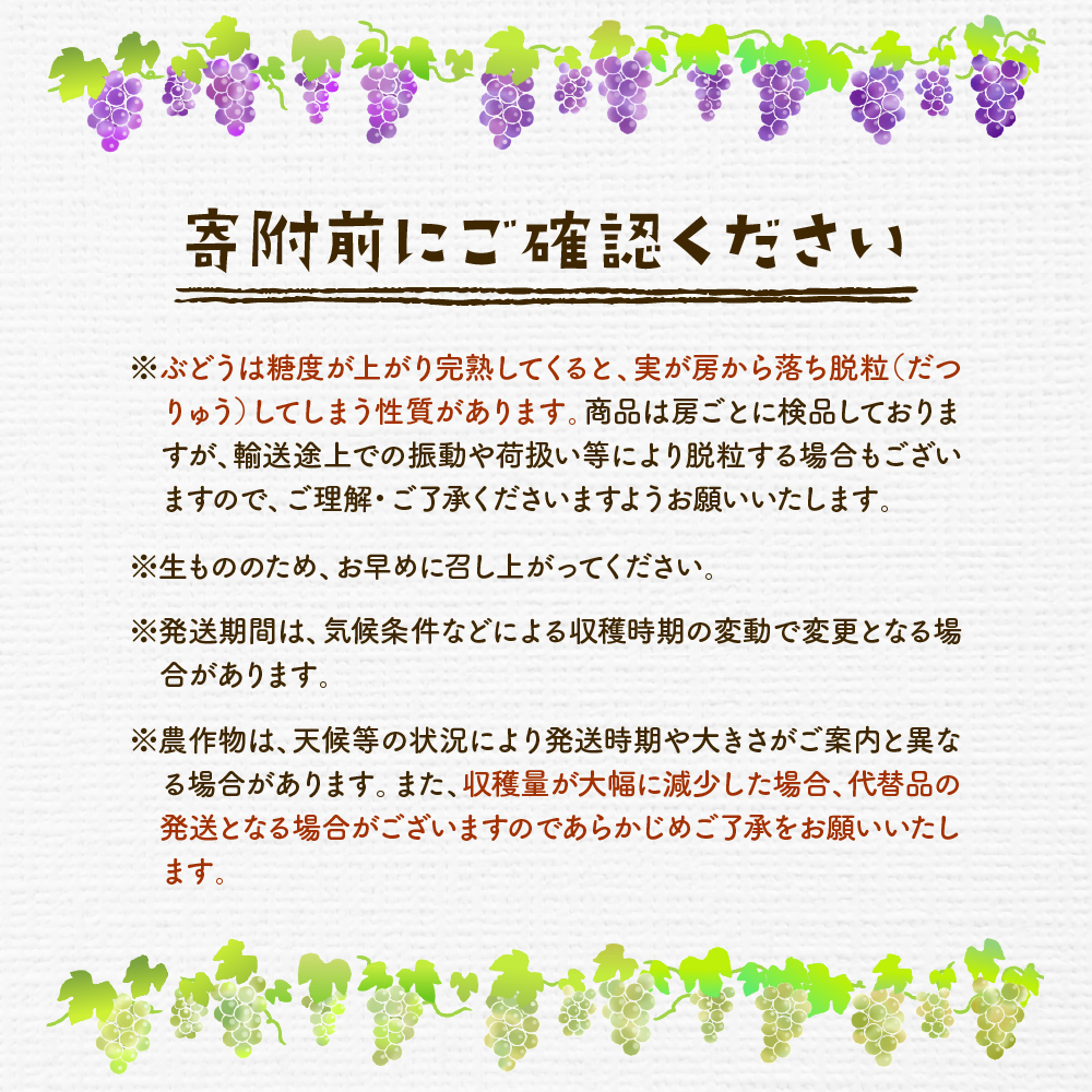 2025年ぶどう「訳ありシャインマスカット」2kg（3〜5房）東根農産センター提供 山形県 東根市 hi027-182-2