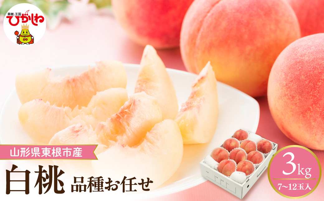 縲2026蟷エ逕」縲 謗。繧後◆縺ヲ逋ス譯(蜩∫ィョ縺贋ササ縺) 邏3kg (7ス12邇) 螻ア蠖「逵 譚ア譬ケ蟶ゅhi026-055