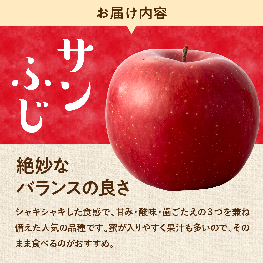 【令和7年産 先行予約】りんご サンふじ 5kg(秀品) 山形県 東根市 東根農産センター提供 hi027-206-2