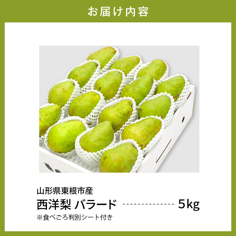 ã2026幎ç£ã è¥¿æŽæ¢š ãã©ãŒã 5kg ç§å åç²§ç®±å
¥ã å±±åœ¢ç æ±æ ¹åž æ±æ ¹èŸ²ç£ã»ã³ã¿ãŒæäŸ hi027-191-r8