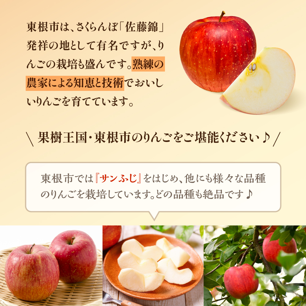 【2026年産】りんご「サンふじ」2kg よってけポポラ提供 hi003-170