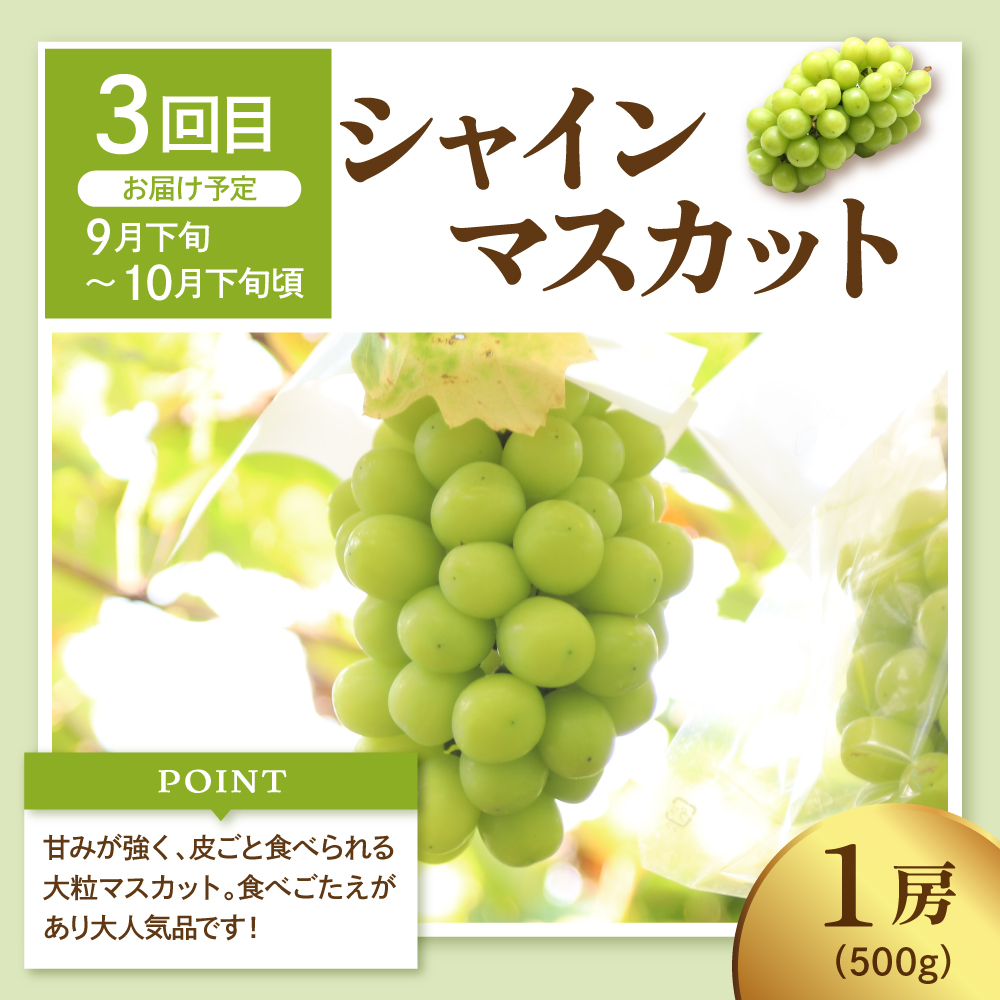 【2026年 先行予約 5回定期便】2026年 フルーツ王国 季節の主役便 千笑花夢提供 山形県 東根市 hi082-046