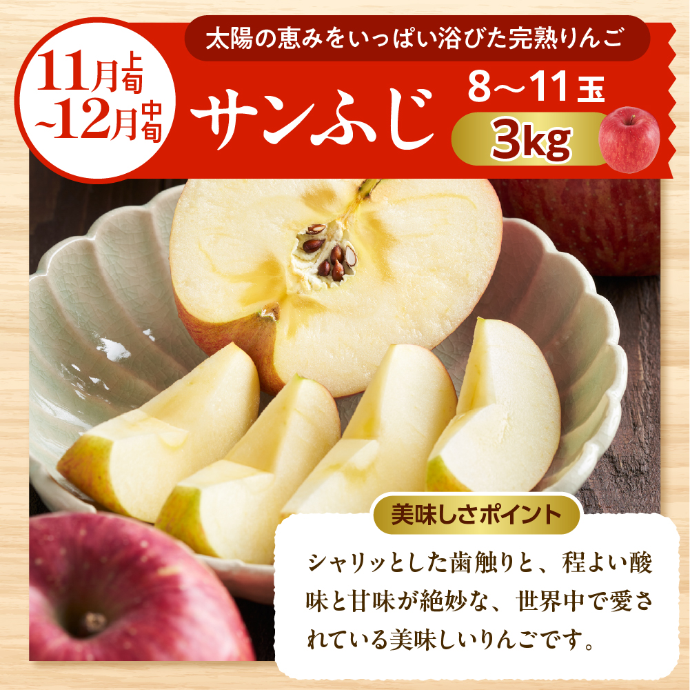 【2026年先行予約】晴天の恵み！ひがしねフルーツ祭定期便！全7回 (2026.6月中旬からスタート) 山形県 東根市 hi026-051