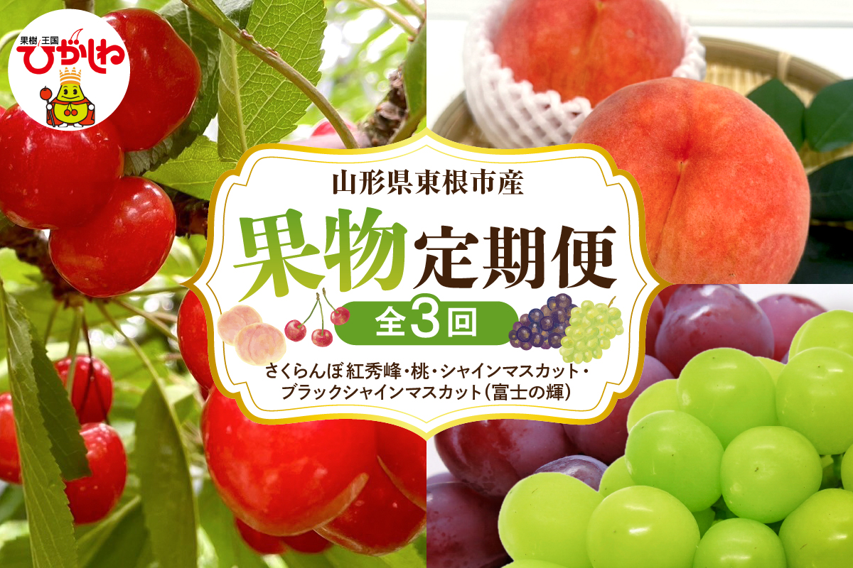 【2025年先行予約 全3回 定期便】東根市産 GI東根さくらんぼ、白桃、シャインマスカットとブラックシャインマスカット「富士の輝」詰め合わせ 果物定期便　hi074-005-2