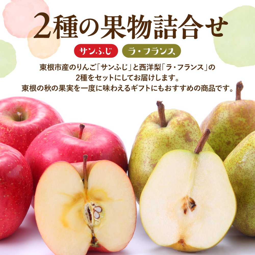 【2026年産】サンふじ&ラフランス 詰め合わせ 5kg 秀品 化粧箱入り 山形県 東根市 東根農産センター提供 hi027-211-r8