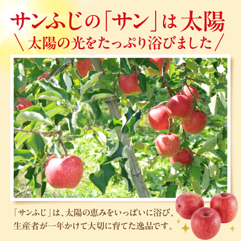【2026年産】太陽の恵みをいっぱいに浴びたりんご「サンふじ」 約5kg (14～18玉入) 山形県 東根市　hi026-062