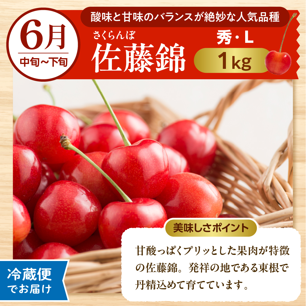 【2026年先行予約】晴天の恵み！ひがしねフルーツ祭定期便！全7回 (2026.6月中旬からスタート) 山形県 東根市 hi026-051