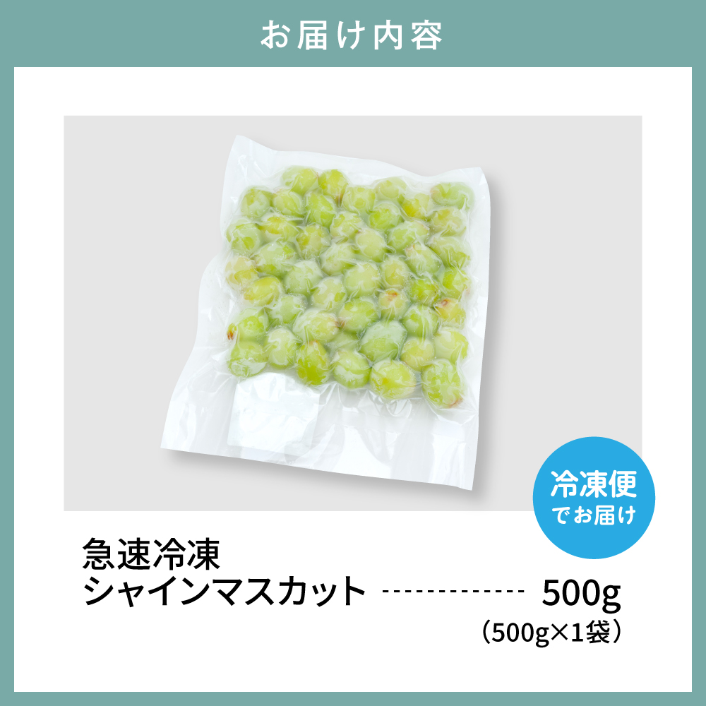 【急速冷凍】東根市産 シャインマスカット 500g 東根農産センター提供 hi027-246