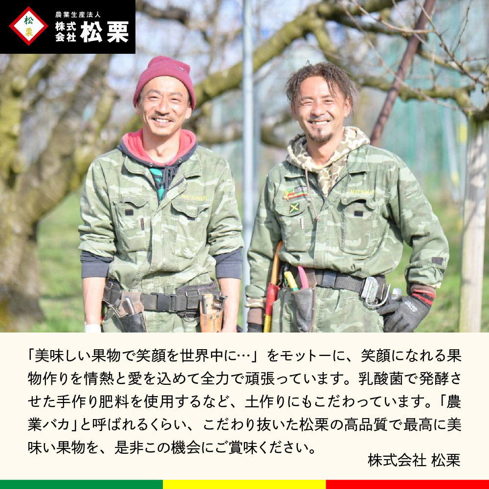 【2026年産】シャインマスカット 訳ありバラ 約1kg 山形県 東根市 松栗提供 hi062-066