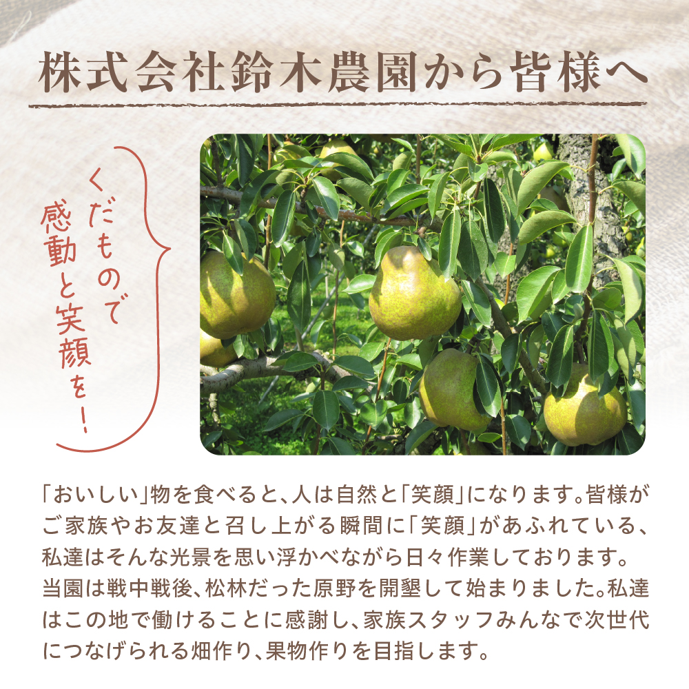 【令和8年産 先行予約】ラ・フランス 家庭用（訳あり）5kg 山形県 東根市 hi069-020