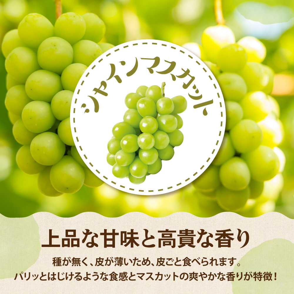 【2026年産 東根秋果実満喫セット】 サンふじ＆ラフ＆シャイン 約2.5kg 山形県 東根市 東根農産センター提供 hi027-202-r8
