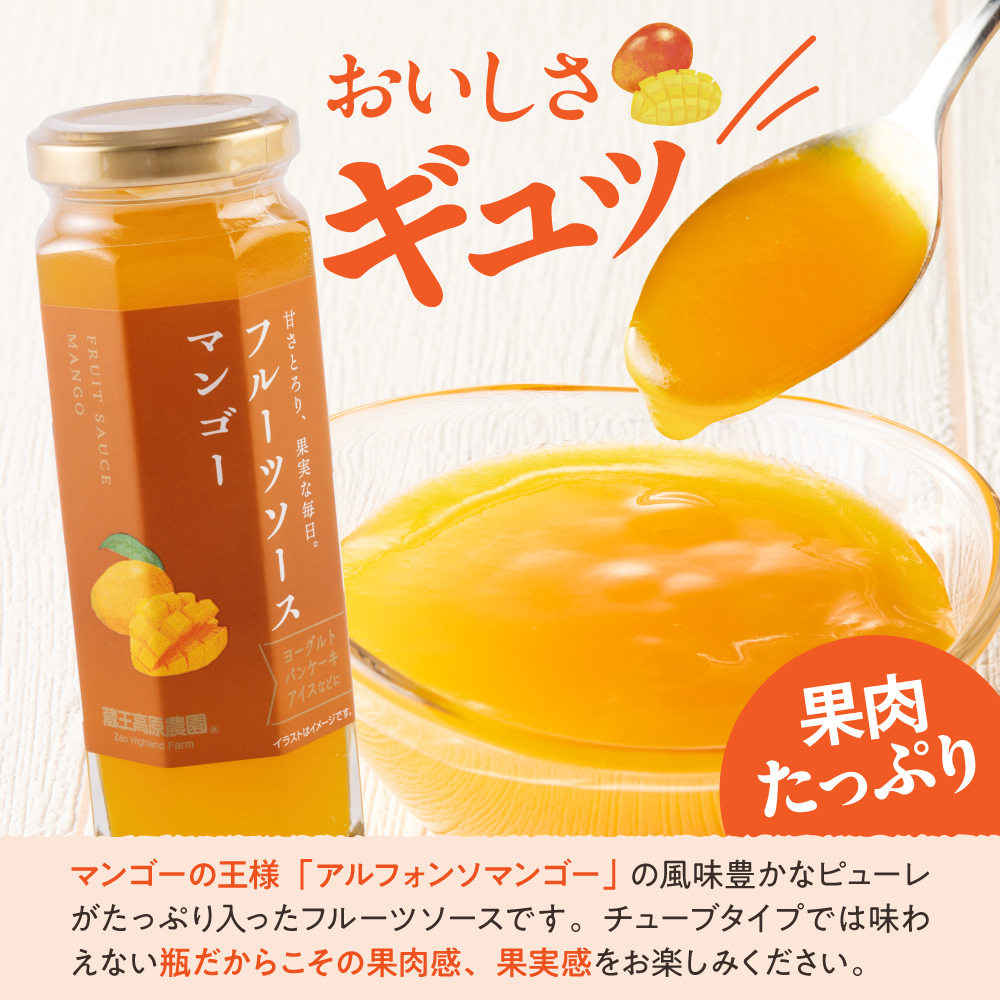 フルーツソース160g　マンゴー（12本）和歌山産業提供 山形県 東根市 hi070-012