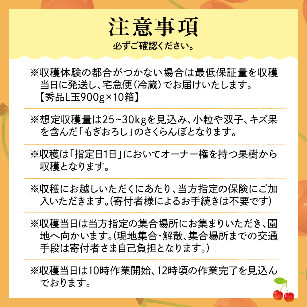 縲先焚驥城剞螳壹JAL髯仙ョ壹代先先惠荳ク縲1譛ャシ√第擲譬ケ逕」縺輔¥繧峨s縺シ縺ョ譛ィ 繧ェ繝シ繝翫シ讓ゥ縲檎エ遘蟲ー縲 螻ア蠖「逵 譚ア譬ケ蟶 hi081-003