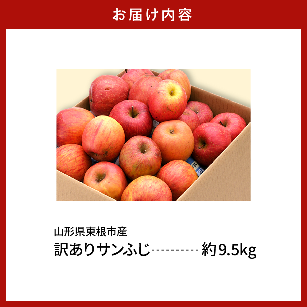 【令和6年産 先行予約】※訳あり※ サンふじ満杯詰(約9.5kg) 東根市 山形県 東根農産センター提供 hi027-131