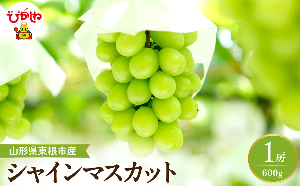 【2026年産】 シャインマスカット 約600g (1房入) 山形県 東根市 hi026-053