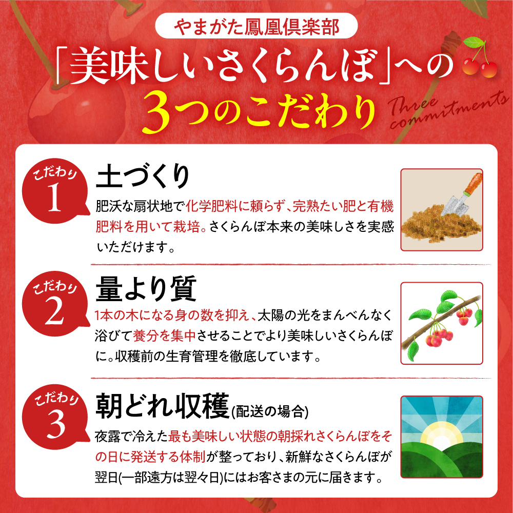 縲先焚驥城剞螳壹JAL髯仙ョ壹代先先惠荳ク縲1譛ャシ√第擲譬ケ逕」縺輔¥繧峨s縺シ縺ョ譛ィ 繧ェ繝シ繝翫シ讓ゥ縲檎エ遘蟲ー縲 螻ア蠖「逵 譚ア譬ケ蟶 hi081-003