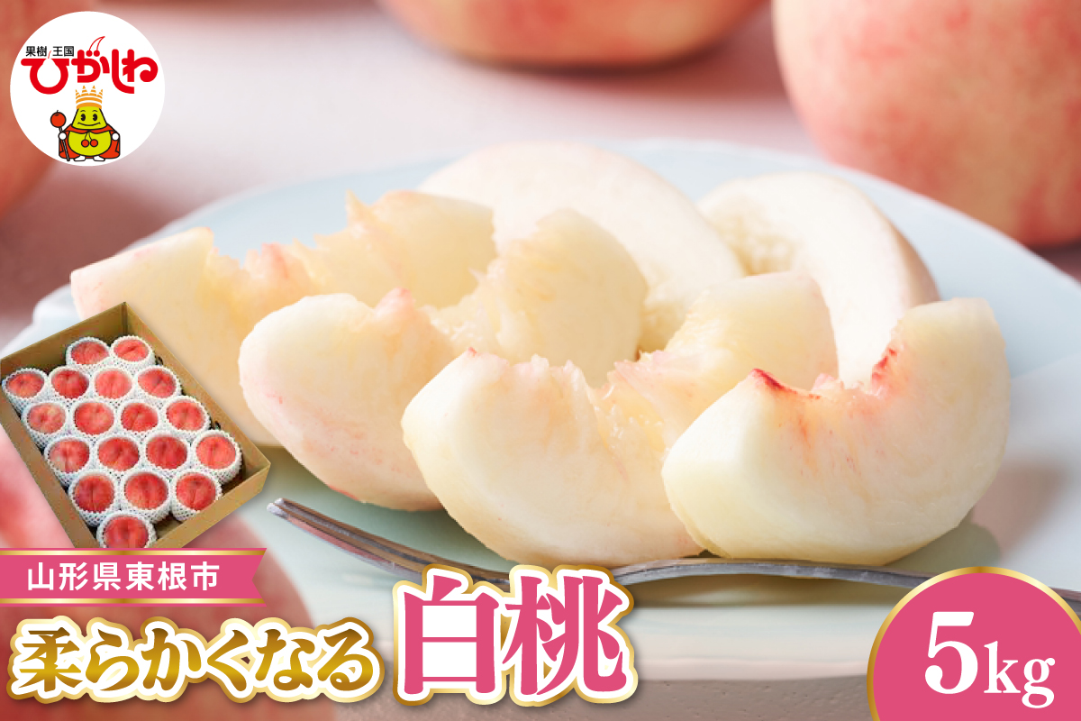 【令和8年産先行受付】 東根市産白桃　秀品 柔らかくなる桃 約5kg ベジフルひがしね 山形県 東根市 hi104-006