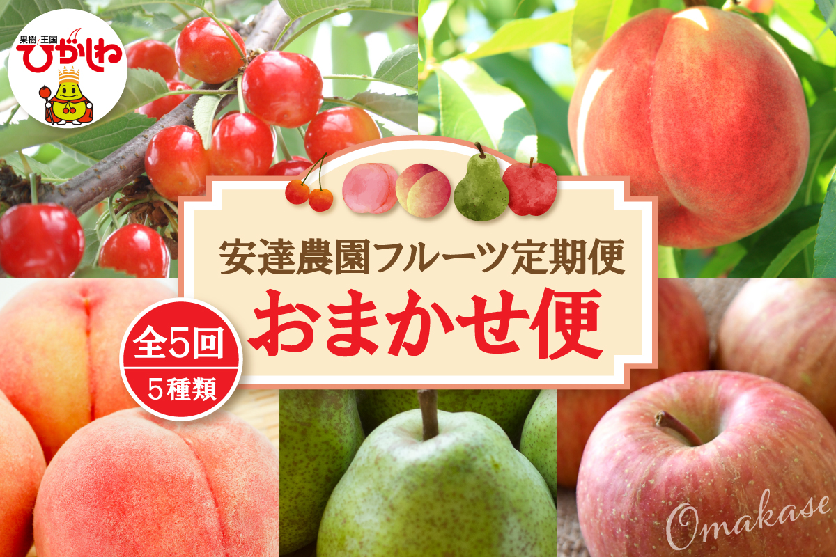 【2026年 5回定期便】安達農園フルーツ定期便 おまかせ便 安達農園提供 山形県 東根市 hi037-011