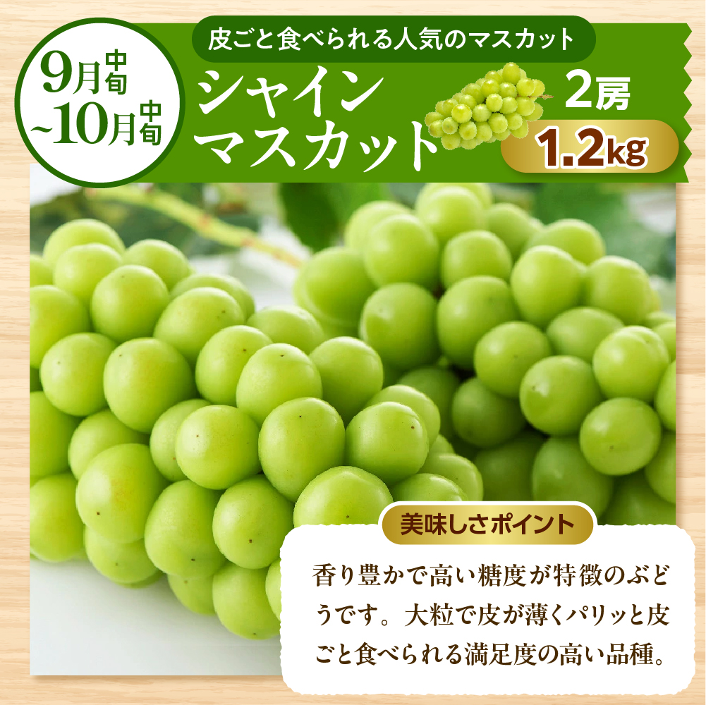 【2026年先行予約】晴天の恵み！ひがしねフルーツ祭定期便！全7回 (2026.6月中旬からスタート) 山形県 東根市 hi026-051