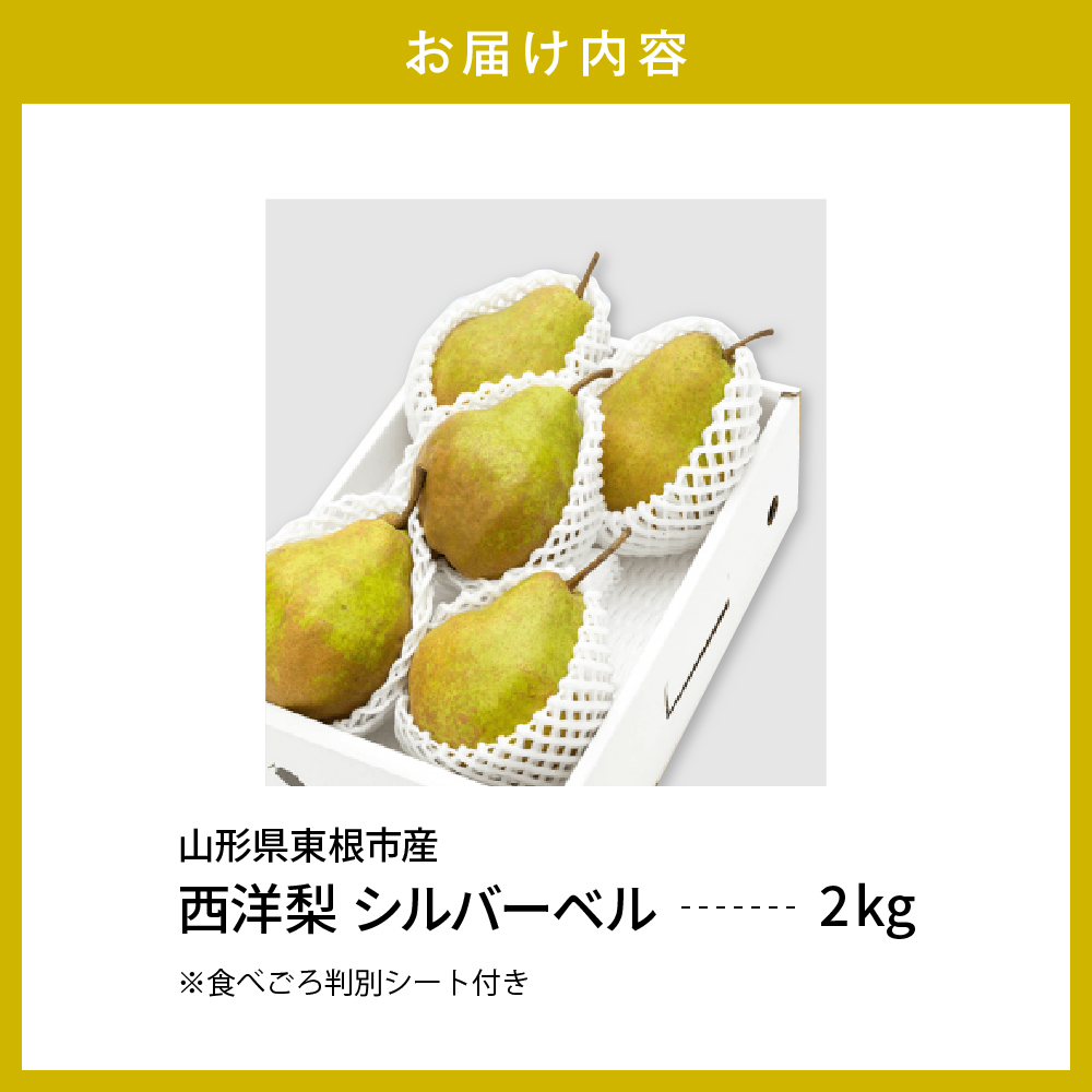 【令和6年産 先行予約】西洋梨シルバーベル2kg　秀品　化粧箱入り 山形県 東根市 東根農産センター提供 hi027-147