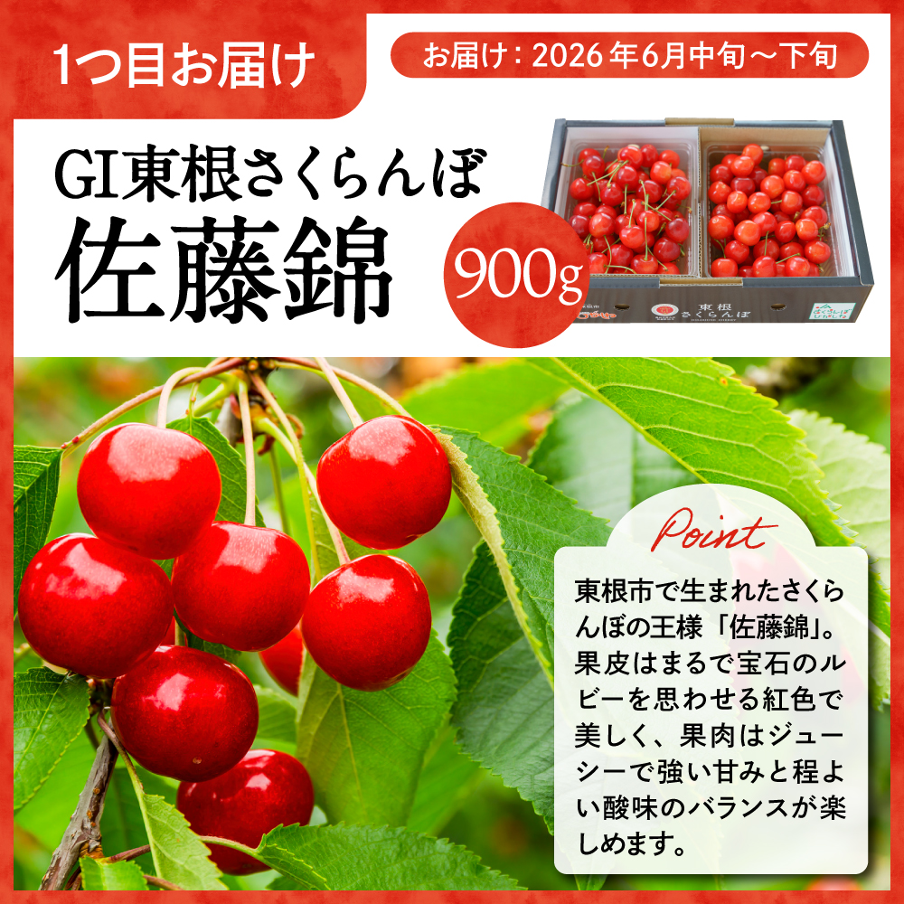 縲2026蟷エ 蜈ィ2蝗槫ョ壽悄萓ソ縲賎I 譚ア譬ケ縺輔¥繧峨s縺シ 縲御ス占陸骭ヲ縲搾シ螻ア蠖「迚帙さ繝シ繧ケ シ2026蟷エ6譛医°繧峨せ繧ソ繝シ繝茨シ栄i999-049