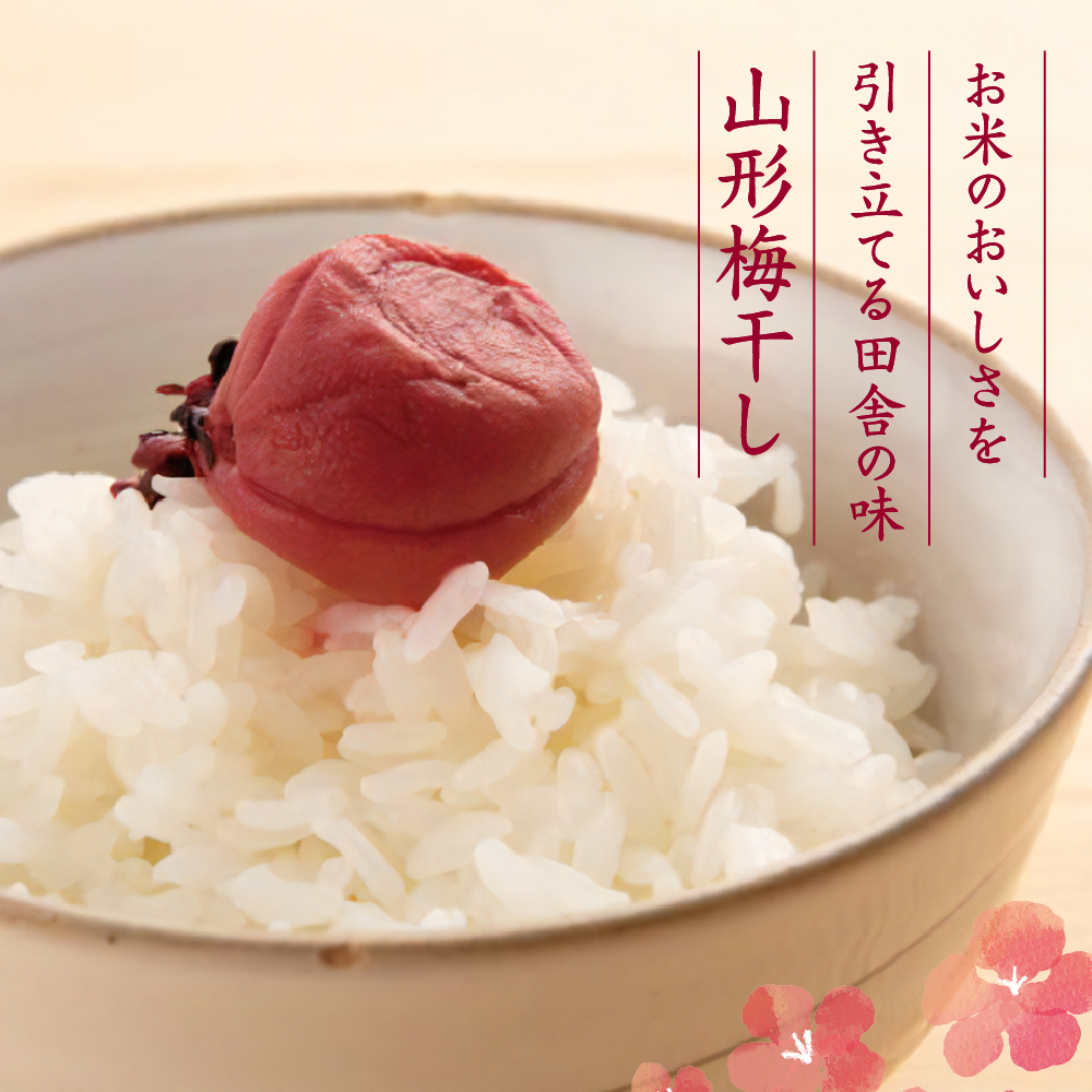 壽屋山形梅干セット17%270g×6袋　hi004-hi036-063