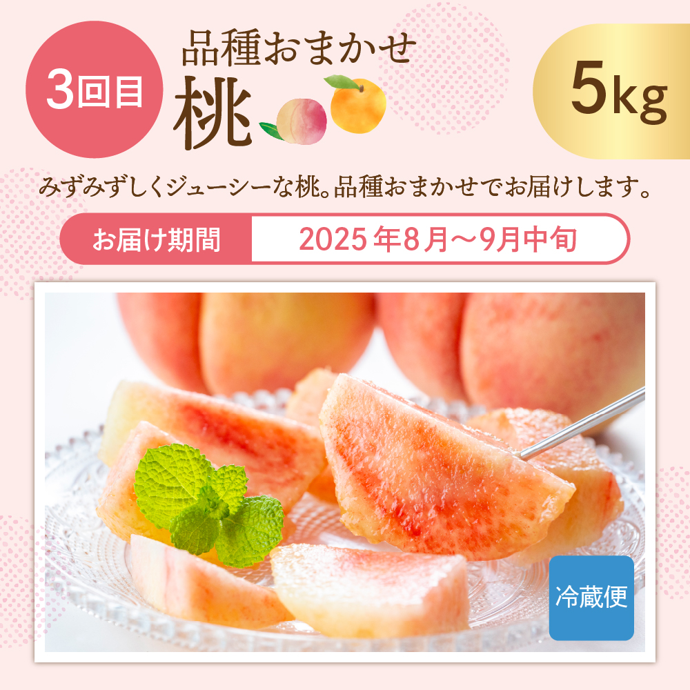 【2025年先行予約 6回 定期便】2025年 た〜んと フルーツ コース 山形県 東根市 さくらんぼ もも シャインマスカット ラ・フランス りんご hi999-031-2