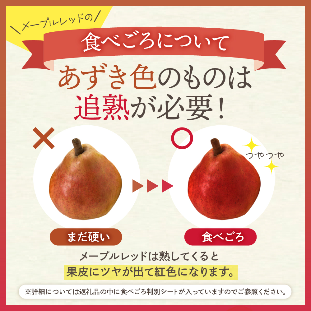 【令和6年産 先行予約】西洋梨メープルレッド５ｋｇ　秀品　化粧箱入り 山形県 東根市 東根農産センター提供 hi027-139