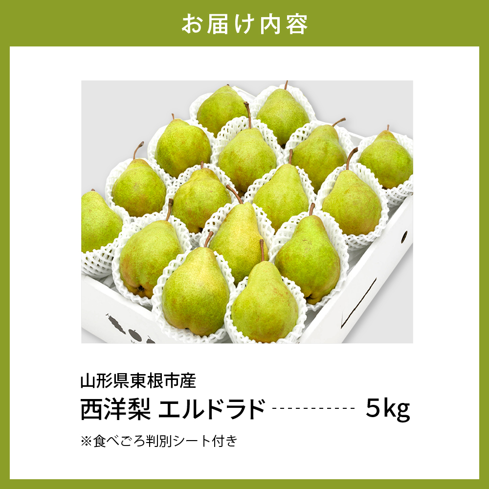 【令和6年産 先行予約】西洋梨エルドラド５ｋｇ　秀品　化粧箱入り 山形県 東根市 東根農産センター提供 hi027-144