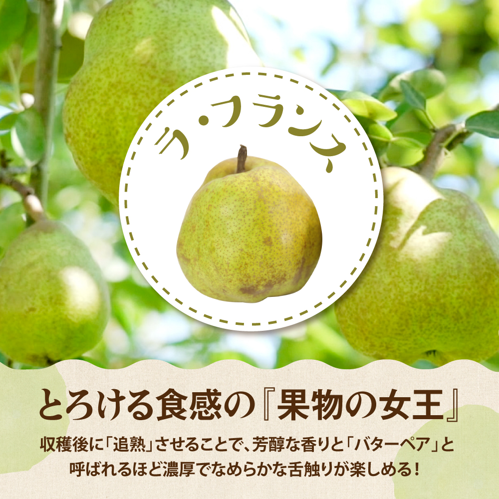 【2026年産】サンふじ&シナノゴールド＆ラフランス 詰め合わせ 5kg 秀品 化粧箱入り 山形県 東根市 東根農産センター提供 hi027-213-r8