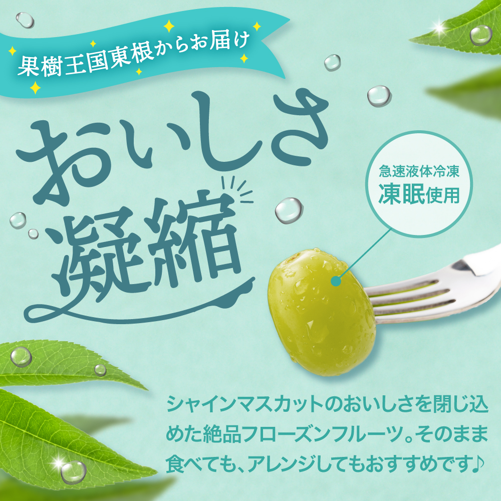 【急速冷凍】東根市産 シャインマスカット 500g 東根農産センター提供 hi027-246