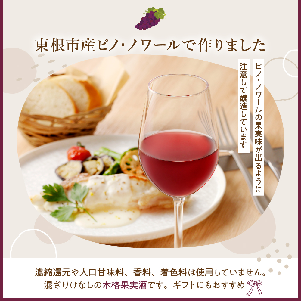 ピノ・ノワールワイン500ml×2本セット 山形県 東根市 合同会社 Fruit Winery Esprit提供 hi108-001