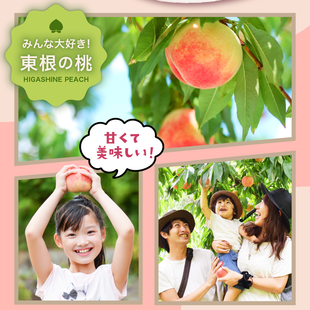 【2026年産 先行予約】 白桃 (品種おまかせ) 3kg 秀品 化粧箱入り 東根農産センター提供 山形県 東根市 hi027-258