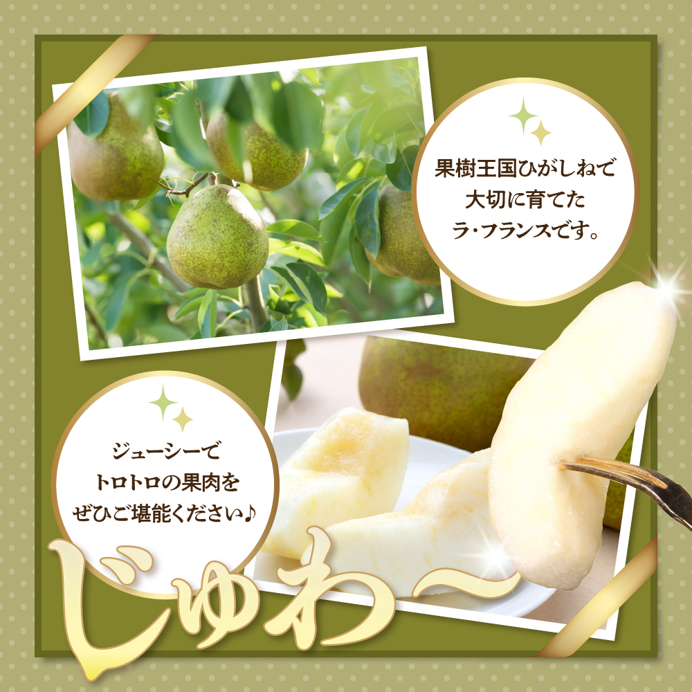 ã2åå®æäŸ¿ã2026幎ãã©ã»ãã©ã³ã¹ïŒå±±åœ¢çã³ãŒã¹ (2026幎10æä»¥éãå±ãïŒhi999-041