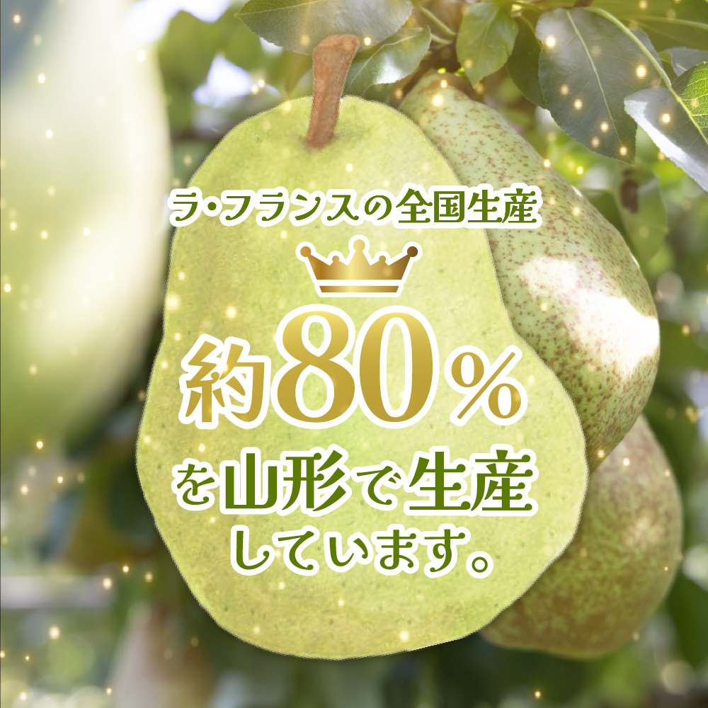 【2026年産】 洋なし「ラ・フランス」 2kg よってけポポラ提供 hi003-166