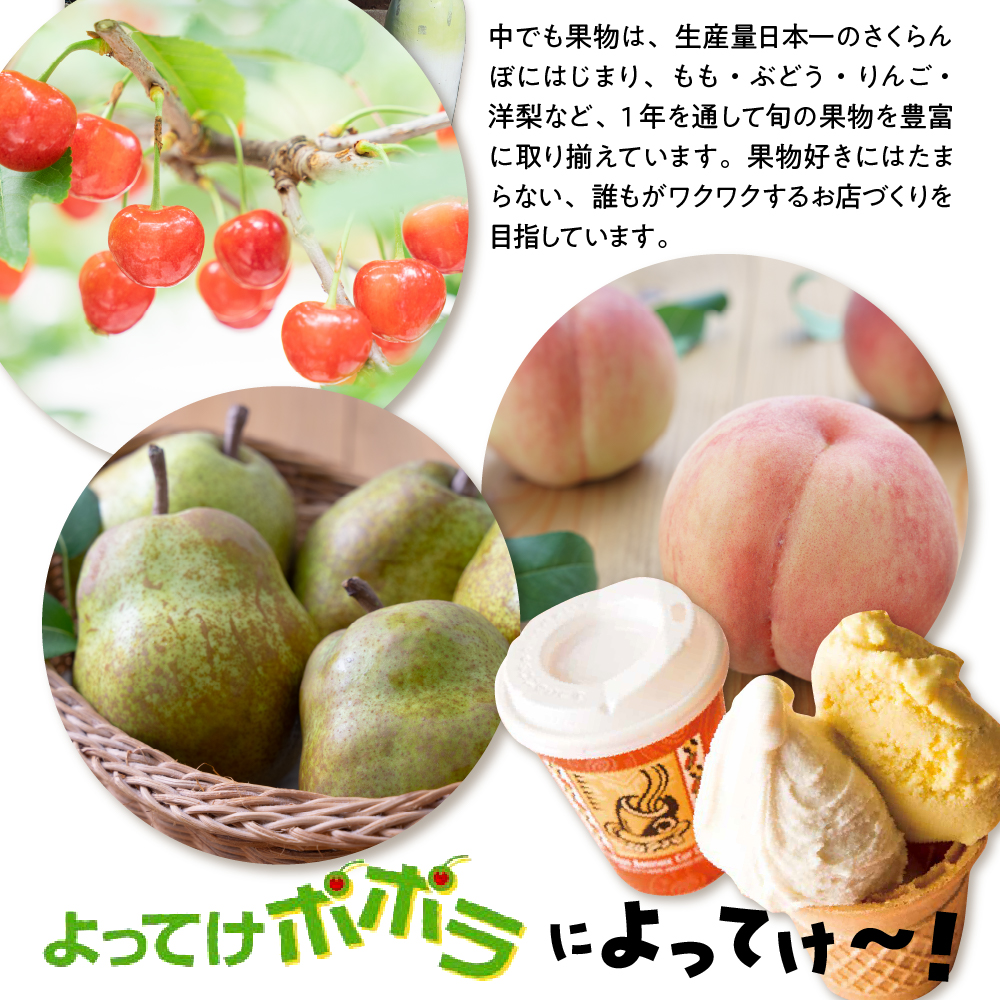 【2026年産】りんご「サンふじ」10kg よってけポポラ提供 hi003-173