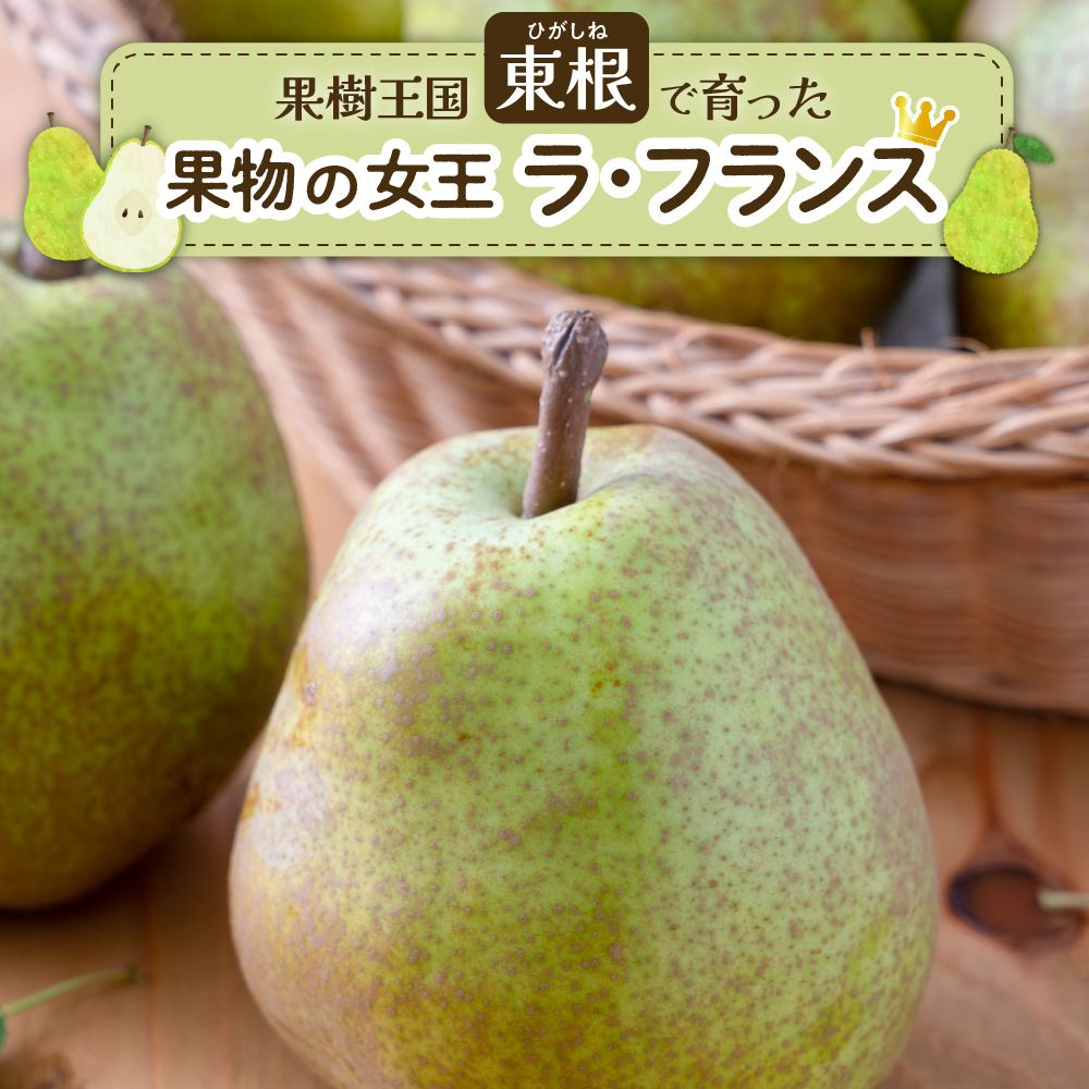 【2026年産】 洋なし「ラ・フランス」 5kg よってけポポラ提供 hi003-168