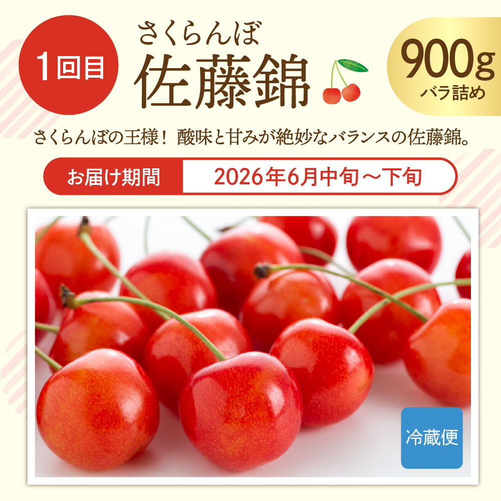 【2026年先行予約 6回 定期便】果樹王国を堪能コース 山形県 東根市 さくらんぼ もも プラム シャインマスカット ラ・フランス りんご hi999-045