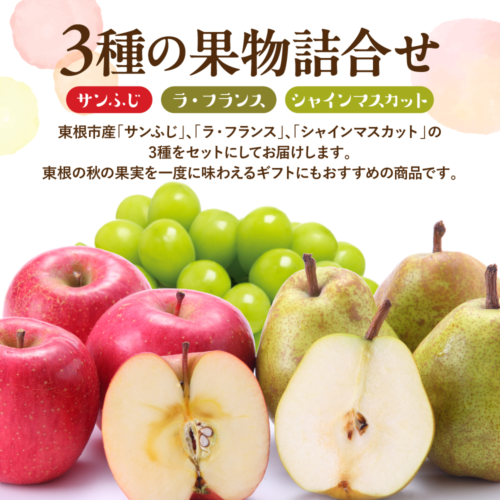 【2026年産 東根秋果実満喫セット】 サンふじ＆ラフ＆シャイン 約2.5kg 山形県 東根市 東根農産センター提供 hi027-202-r8