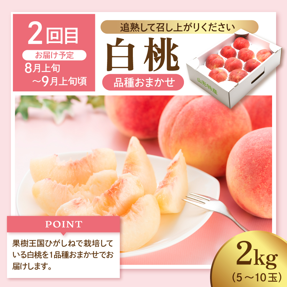 【2026年 先行予約 3回定期便】2026年 フルーツ王国 三大人気定期便 千笑花夢提供 山形県 東根市 hi082-041