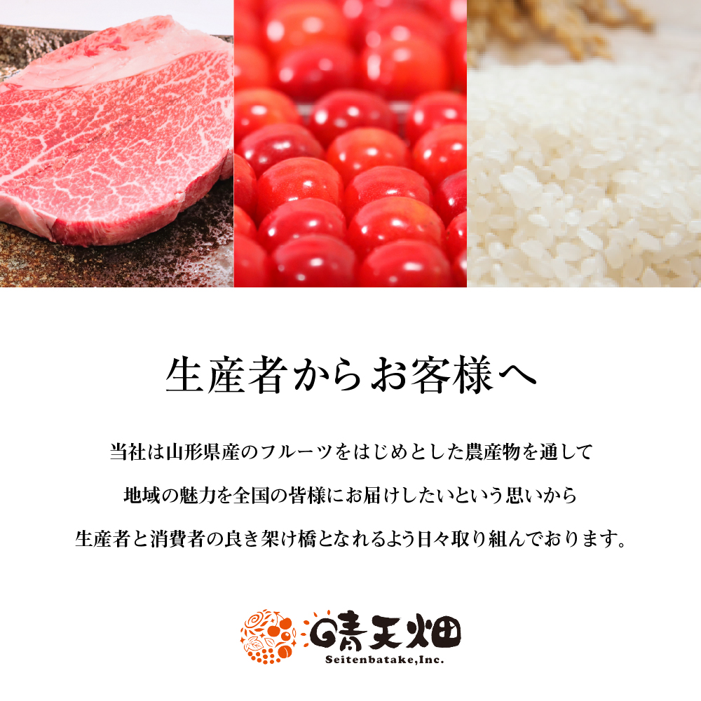 【2026年産】 太陽の恵みをいっぱいに浴びたりんご「サンふじ」 約10kg(28～36玉入) 山形県 東根市　hi026-063
