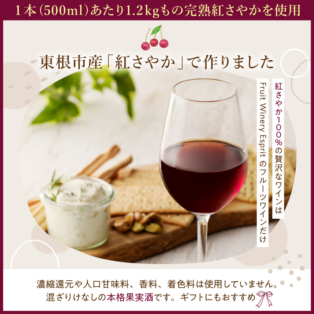 紅さやかワイン500ml×2本セット 山形県 東根市 合同会社 Fruit Winery Esprit提供 hi108-004
