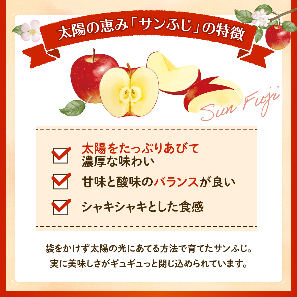 【2024年産 先行予約】 りんご「サンふじ」2kg JA提供　hi003-112